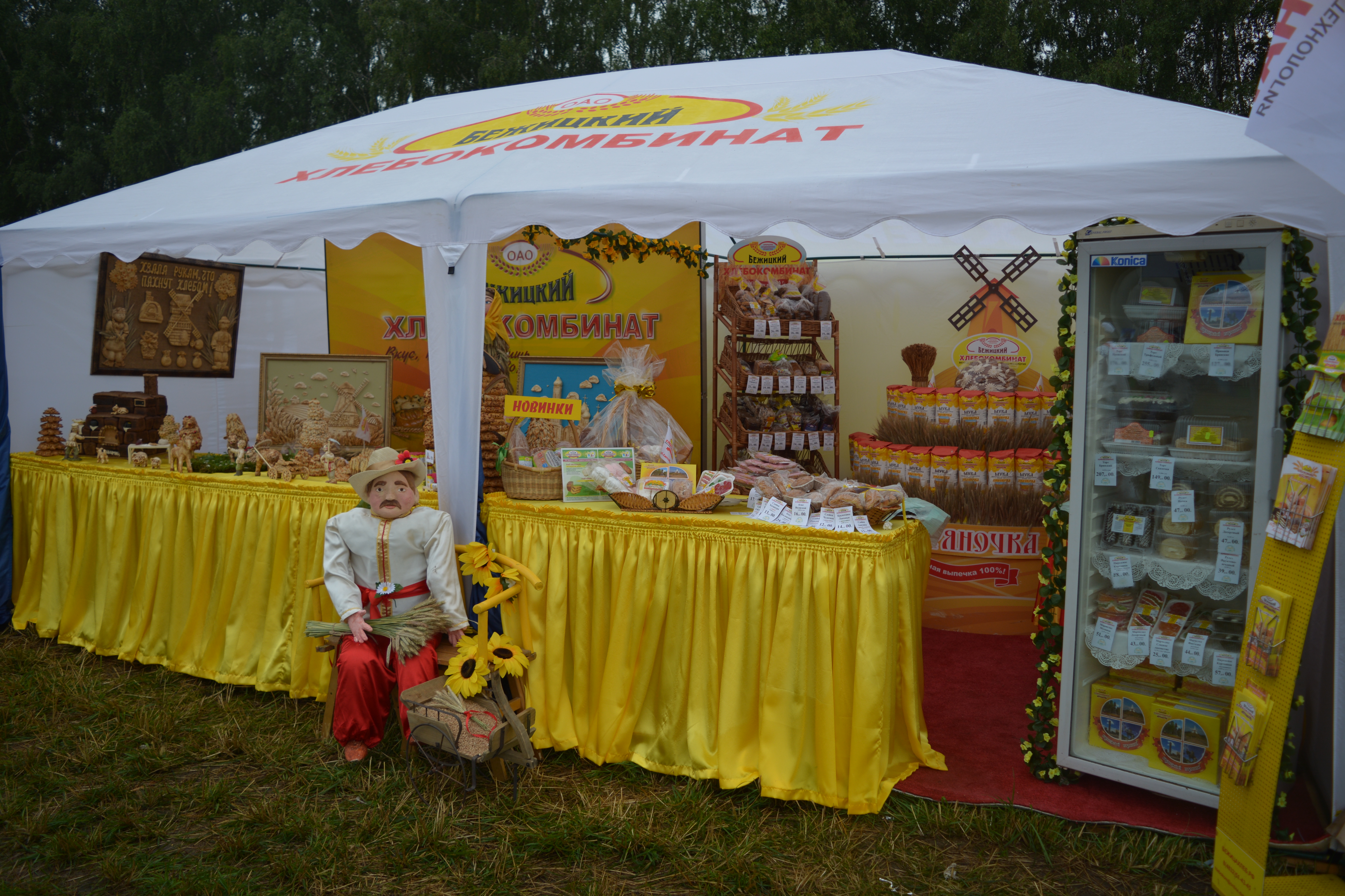 день поля 2017 (2)